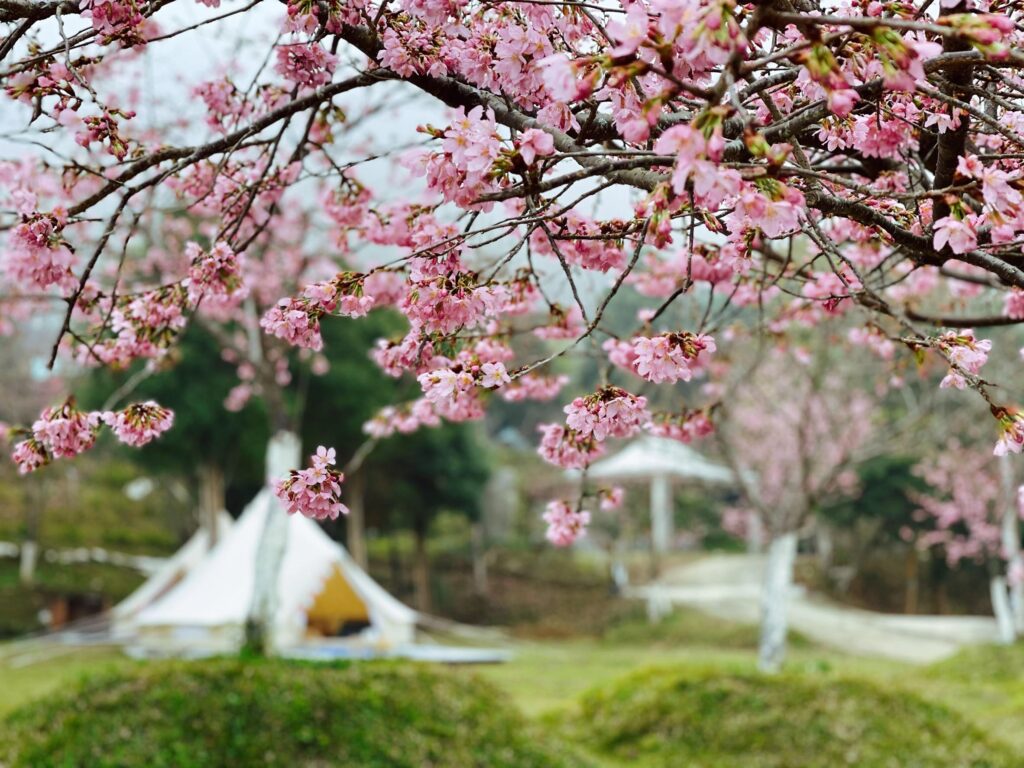 豪華帳篷住宿